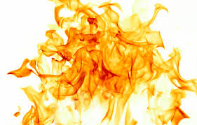 Fan The Flames of Fat Metabolism